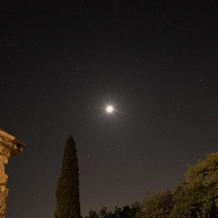 Cottage Al Merlo Olivo بوجي المظهر الخارجي الصورة