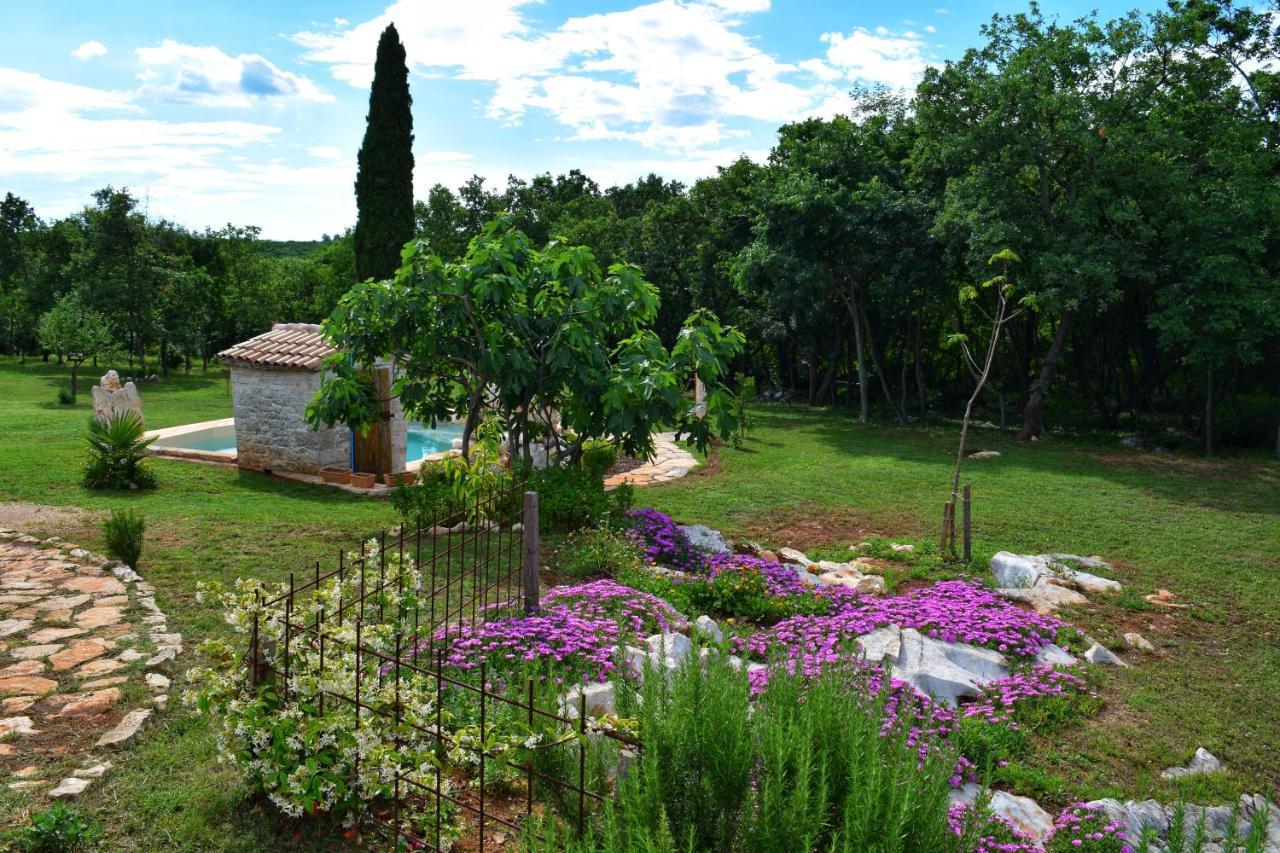 Cottage Al Merlo Olivo بوجي المظهر الخارجي الصورة