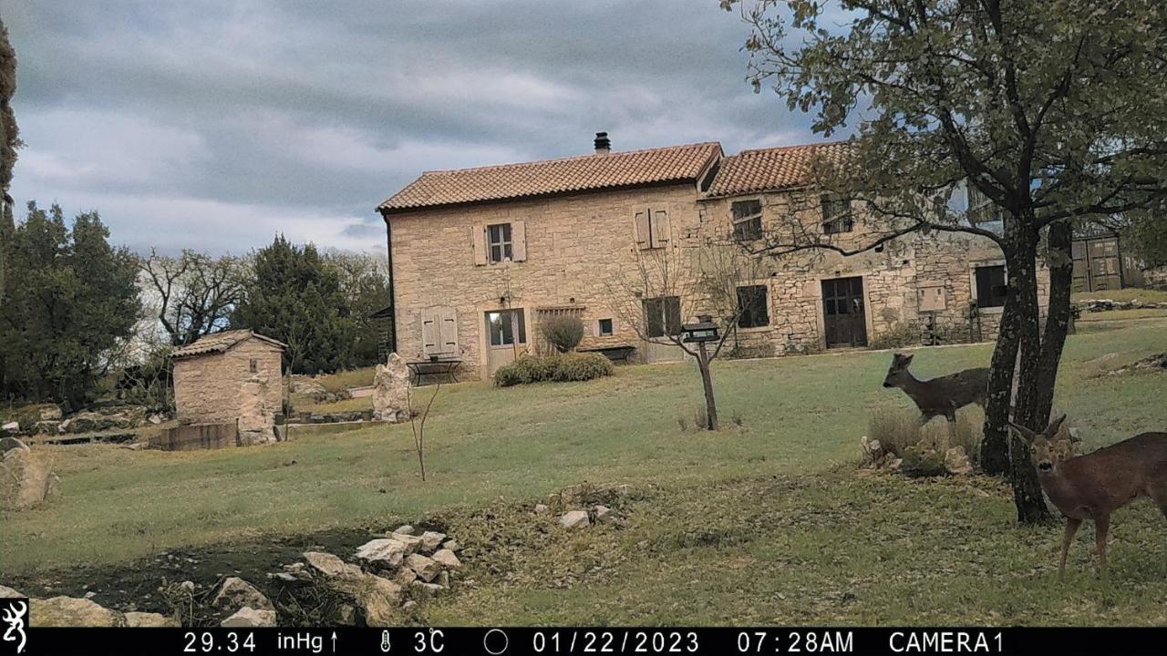 Cottage Al Merlo Olivo بوجي المظهر الخارجي الصورة