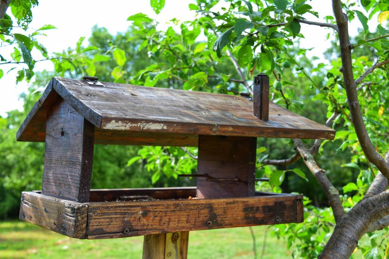 Cottage Al Merlo Olivo بوجي المظهر الخارجي الصورة