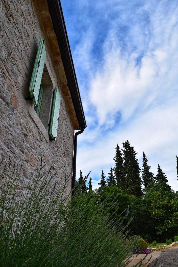 Cottage Al Merlo Olivo بوجي المظهر الخارجي الصورة